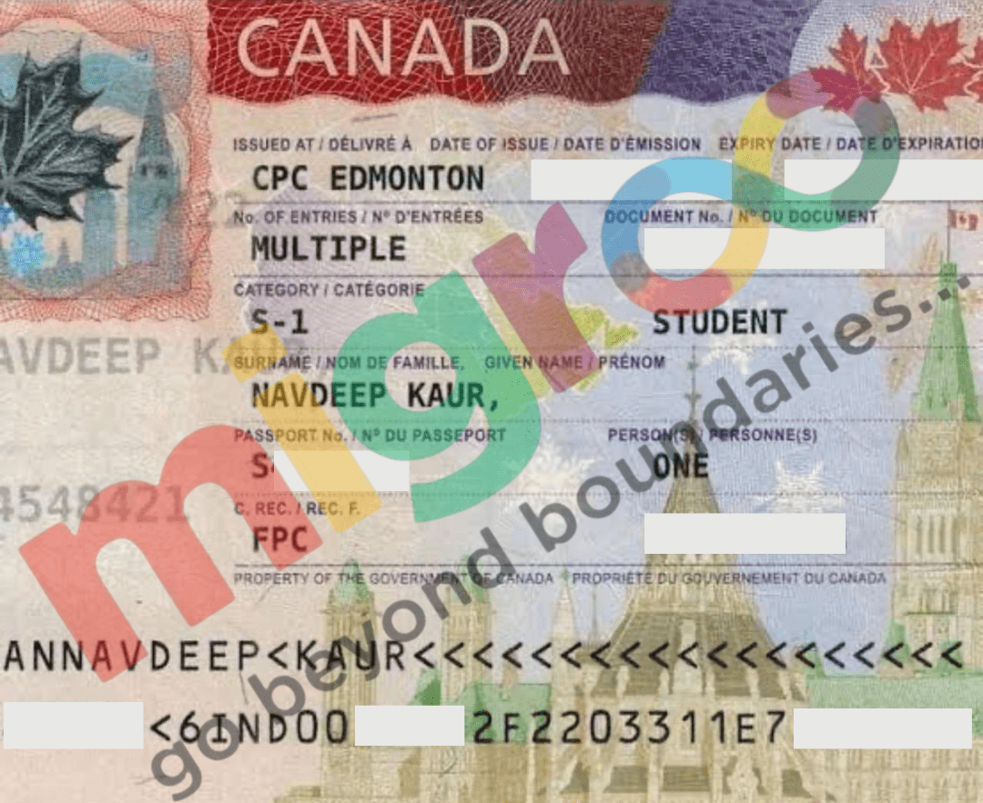 Untitled design (19)-min